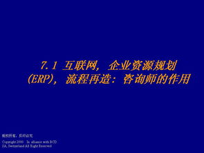 德勤管理咨询的程序与技能解析——基于ERP100企业信息化知识门户